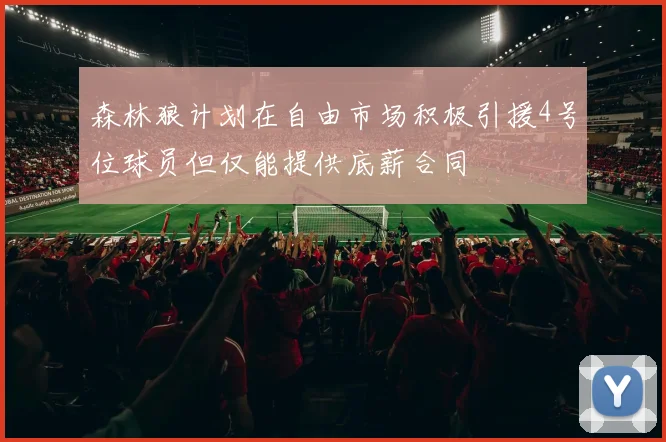森林狼计划在自由市场积极引援4号位球员但仅能提供底薪合同
